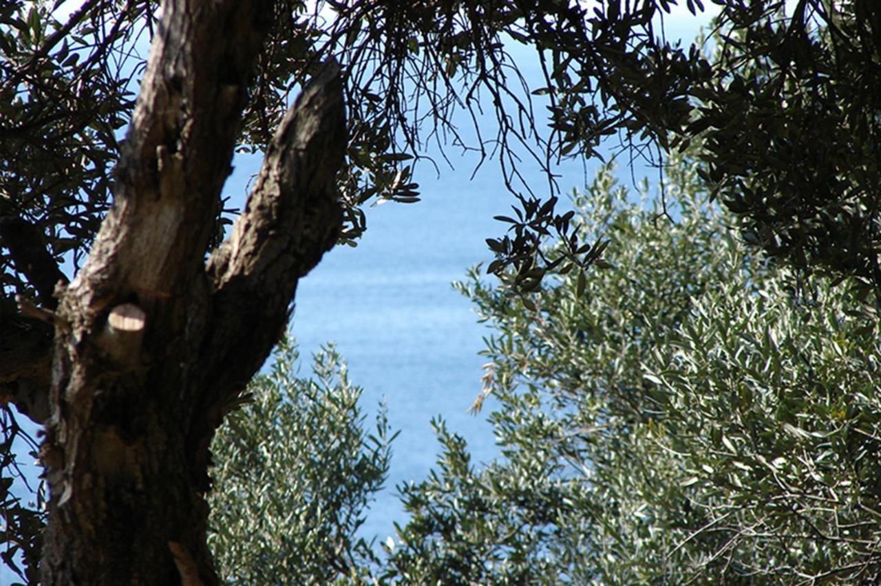Apartment Luxury Bonbon Next To Banje And Old Town, Great Location Dubrovnik